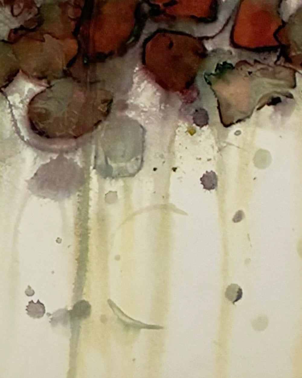 60 Rose Hips Tea Bags Wall Art 50x40"