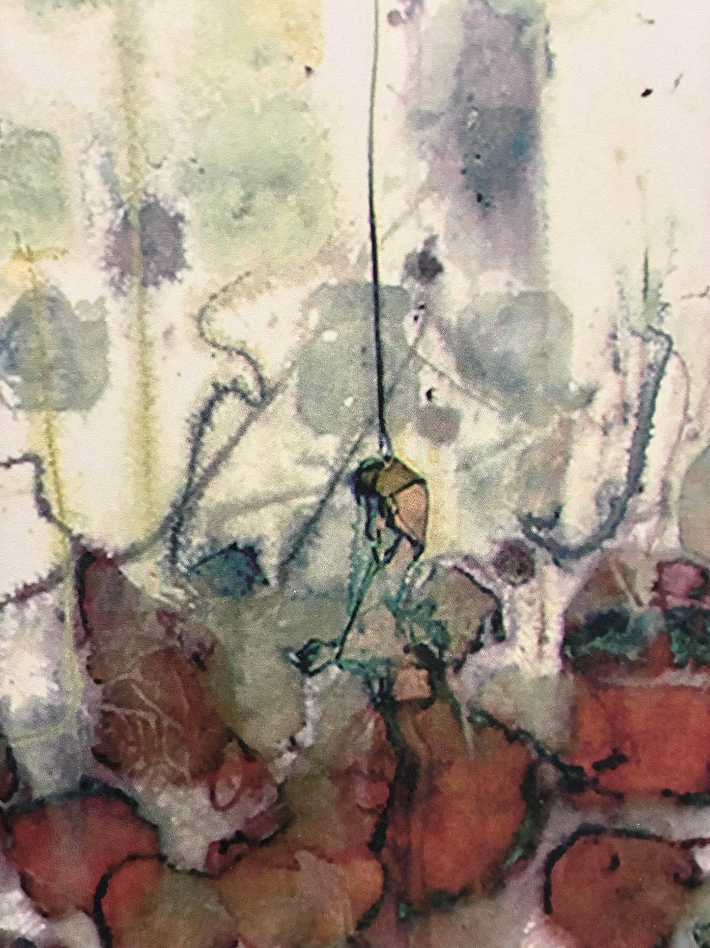 60 Rose Hips Tea Bags Wall Art 50x40"