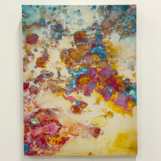 Mango Passion Wall Art 24x30"